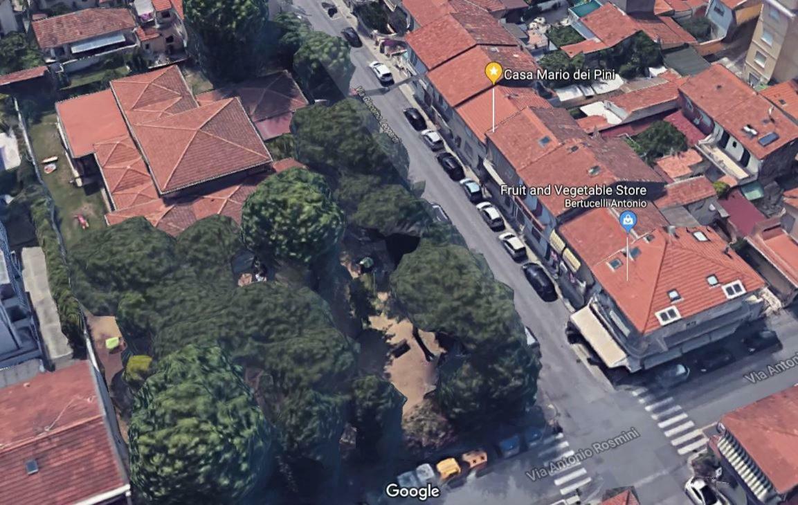 维亚雷焦Casa Mario Dei Pini别墅 外观 照片